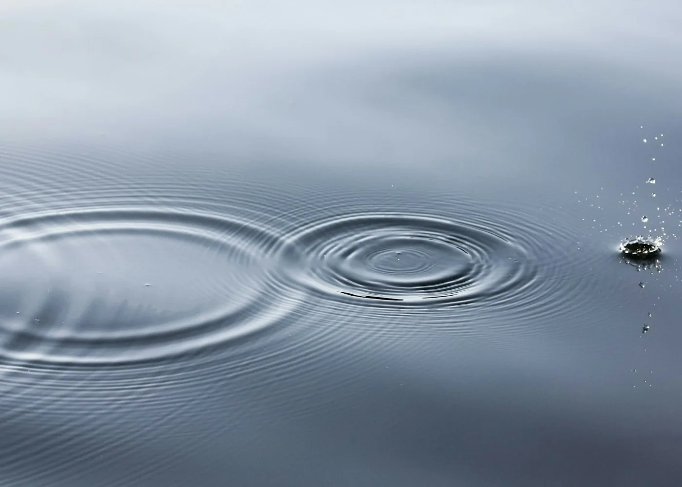 Des ondes qui se propagent à la surface de l'eau